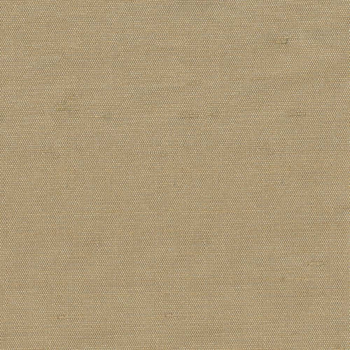 Unforgettable Beige by Kasmir Fabric 1349 INDIA 25,000 Wyzenbeek Double Rubs H: N/A, V:N/A 54 - Fabric Carolina - Kasmir