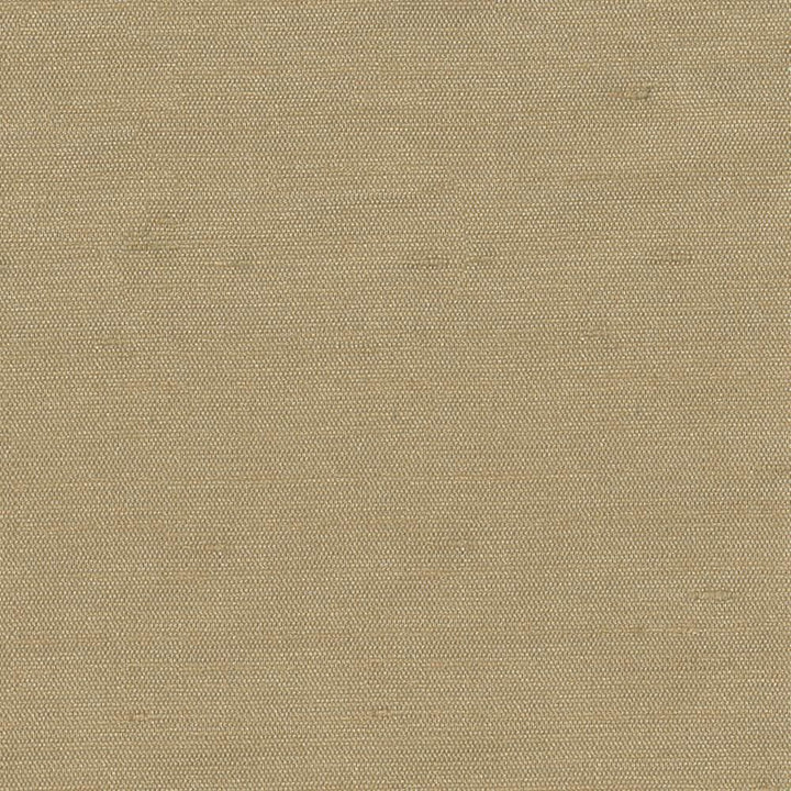 Unforgettable Beige by Kasmir Fabric 1351 100% Polyester
 INDIA 25,000 Wyzenbeek Double Rubs </p><p>Repeat: Horizontal: N/A and Vertical: N/A 54 - Fabric Carolina -
