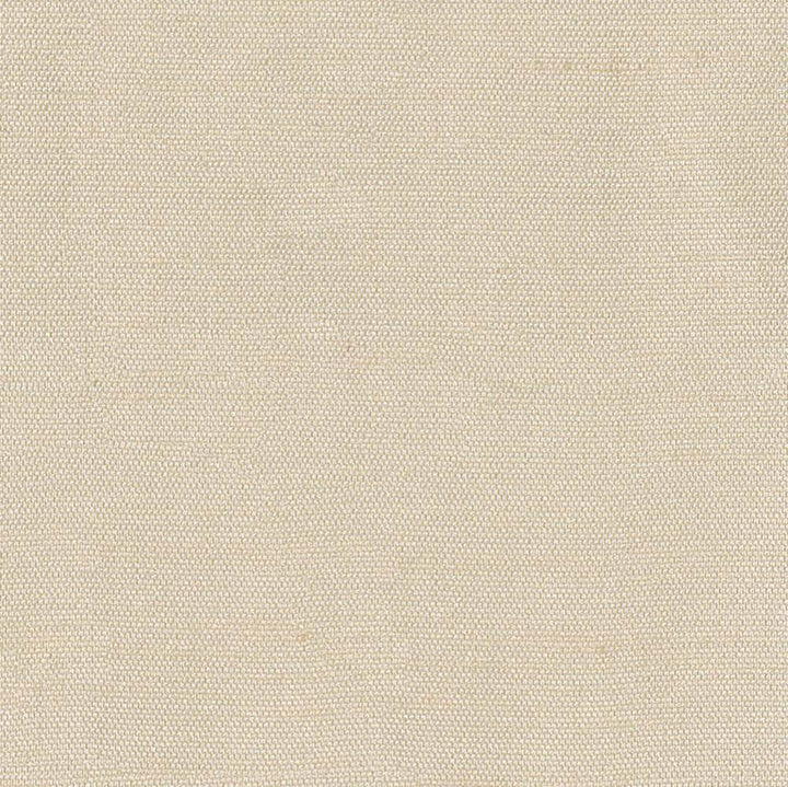 Unforgettable Bisque by Kasmir Fabric 1349 INDIA 25,000 Wyzenbeek Double Rubs H: N/A, V:N/A 54 - Fabric Carolina - Kasmir