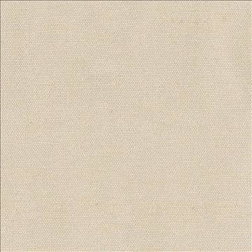Unforgettable Bisque by Kasmir Fabric 1348 100% Polyester INDIA 25,000 Wyzenbeek Double Rubs H: N/A, V: N/A 54 - Fabric Carolina - Kasmir