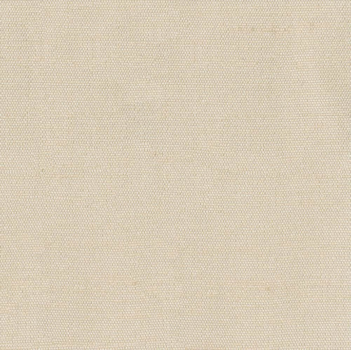 Unforgettable Bisque  by Kasmir Fabric See sample 100% Polyester
 INDIA 25,000 Wyzenbeek Double Rubs </p><p>Repeat: Horizontal: N/A and Vertical: N/A 54  - Fabric Carolina -