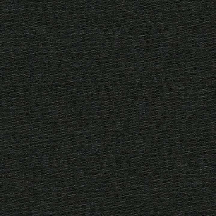 Unforgettable Black by Kasmir Fabric 1348 INDIA 25,000 Wyzenbeek Double Rubs H: N/A, V:N/A 54 - Fabric Carolina - Kasmir