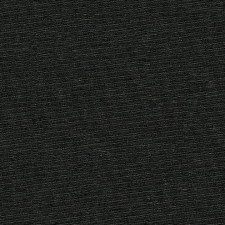 Unforgettable Black by Kasmir Fabric 1349 100% Polyester
 INDIA 25,000 Wyzenbeek Double Rubs Horizontal: N/A and Vertical: N/A 54 - Fabric Carolina -