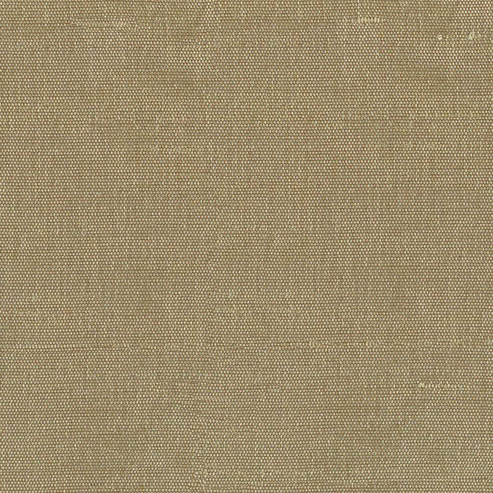 Unforgettable Burlap by Kasmir Fabric 1347 INDIA 25,000 Wyzenbeek Double Rubs H: N/A, V:N/A 54 - Fabric Carolina - Kasmir