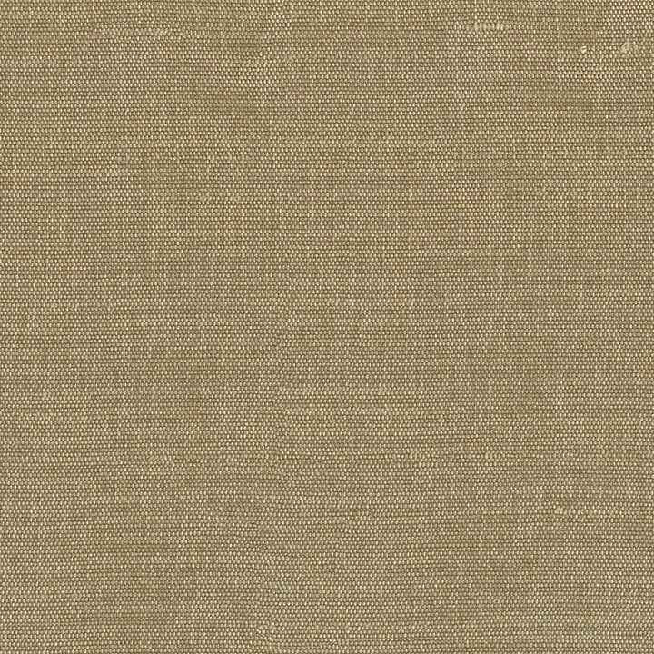 Unforgettable Burlap by Kasmir Fabric 1349 100% Polyester INDIA 25,000 Wyzenbeek Double Rubs Horizontal: 0 Inches and Vertical: 0 Inches 54 - Fabric Carolina -