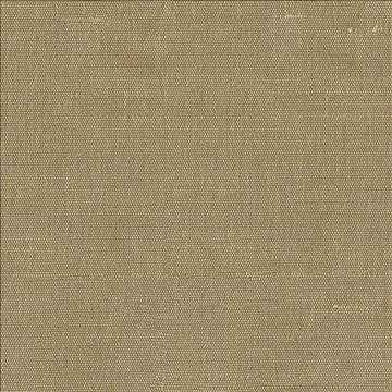 Unforgettable Burlap by Kasmir Fabric 1350 100% Polyester INDIA 25,000 Wyzenbeek Double Rubs H: N/A, V: N/A 54 - Fabric Carolina - Kasmir