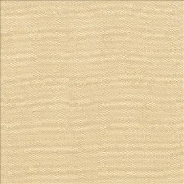 Unforgettable Butter by Kasmir Fabric 5010 100% Polyester INDIA 25,000 Wyzenbeek Double Rubs H: N/A, V: N/A 54 - Fabric Carolina - Kasmir