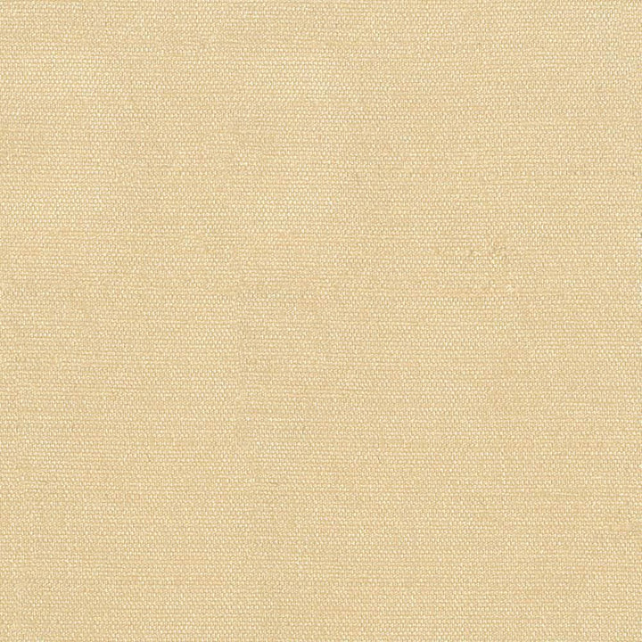 Unforgettable Butter by Kasmir Fabric 5010 100% Polyester
 INDIA 25,000 Wyzenbeek Double Rubs </p><p>Repeat: Horizontal: N/A and Vertical: N/A 54 - Fabric Carolina -