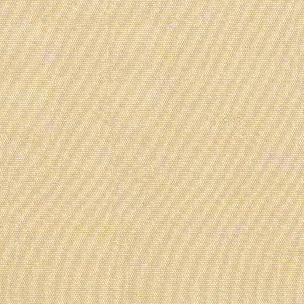 Unforgettable Butter by Kasmir Fabric 1347 INDIA 25,000 Wyzenbeek Double Rubs H: N/A, V:N/A 54 - Fabric Carolina - Kasmir