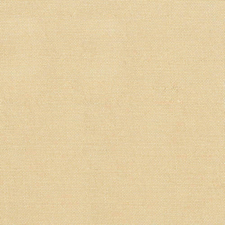 Unforgettable Butter by Kasmir Fabric 5010 INDIA 25,000 Wyzenbeek Double Rubs H: N/A, V:N/A 54 - Fabric Carolina - Kasmir