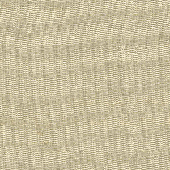 Unforgettable Cameo by Kasmir Fabric 1347 INDIA 25,000 Wyzenbeek Double Rubs H: N/A, V:N/A 54 - Fabric Carolina - Kasmir