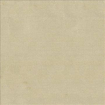 Unforgettable Cameo by Kasmir Fabric 1347 100% Polyester INDIA 25,000 Wyzenbeek Double Rubs H: N/A, V: N/A 54 - Fabric Carolina - Kasmir