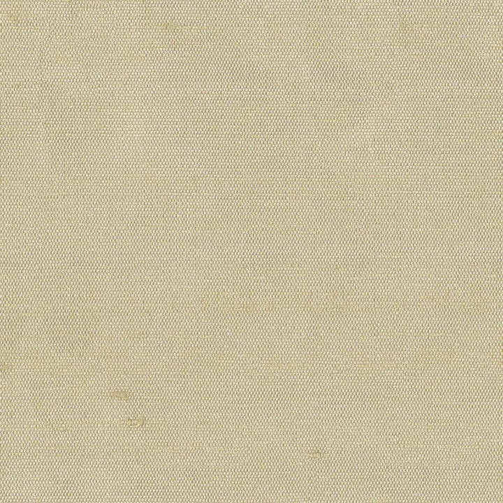 Unforgettable Cameo by Kasmir Fabric 1347 100% Polyester
 INDIA 25,000 Wyzenbeek Double Rubs </p><p>Repeat: Horizontal: N/A and Vertical: N/A 54 - Fabric Carolina -