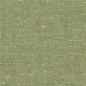 Unforgettable Celery by Kasmir Fabric 1347 100% Polyester INDIA 25,000 Wyzenbeek Double Rubs H: N/A, V: N/A 54 - Fabric Carolina - Kasmir