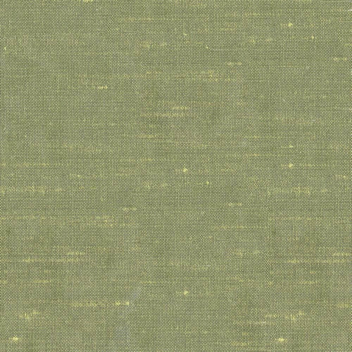 Unforgettable Celery by Kasmir Fabric 1350 100% Polyester
 INDIA 25,000 Wyzenbeek Double Rubs </p><p>Repeat: Horizontal: N/A and Vertical: N/A 54 - Fabric Carolina -