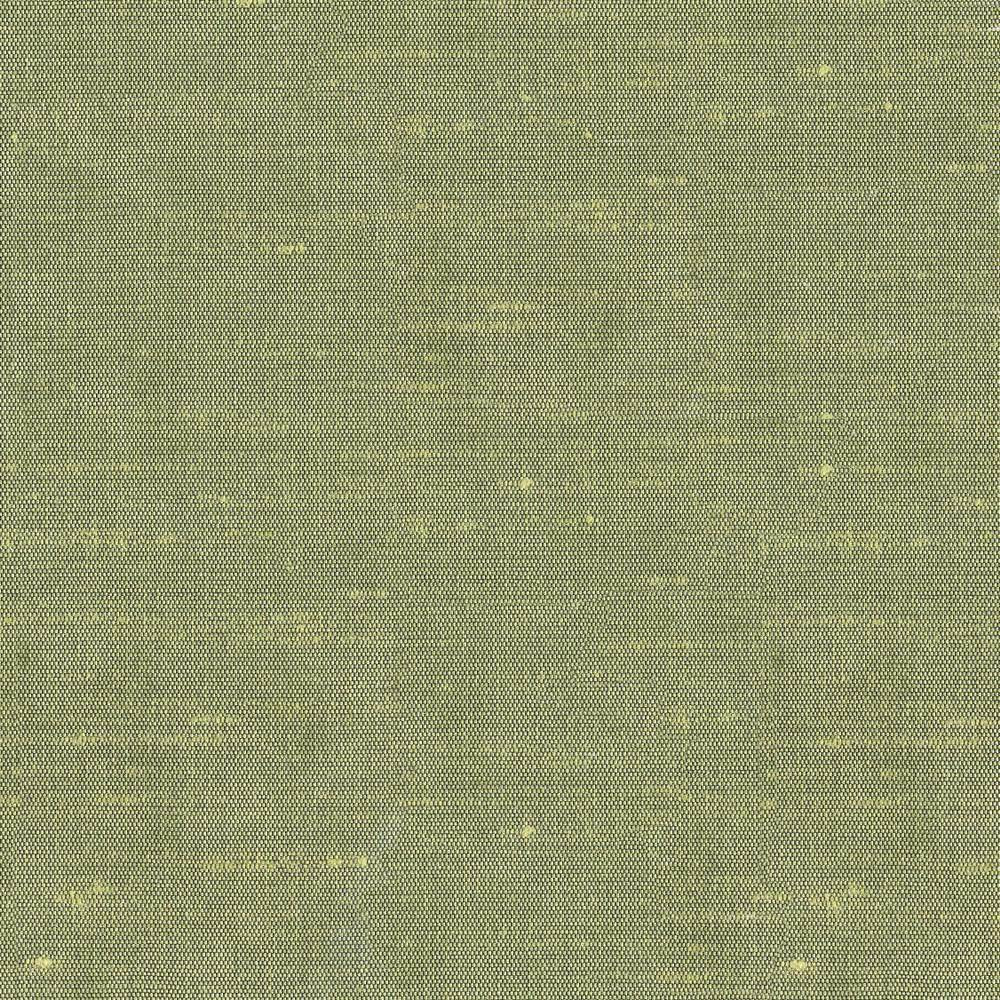 Unforgettable Celery by Kasmir Fabric 1348 INDIA 25,000 Wyzenbeek Double Rubs H: N/A, V:N/A 54 - Fabric Carolina - Kasmir
