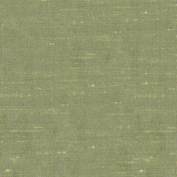 Unforgettable Celery by Kasmir Fabric 1348 INDIA 25,000 Wyzenbeek Double Rubs H: N/A, V:N/A 54 - Fabric Carolina - Kasmir