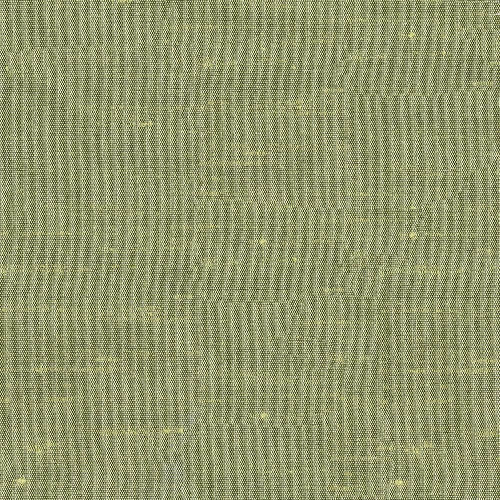 Unforgettable Celery by Kasmir Fabric 5010 100% Polyester
 INDIA 25,000 Wyzenbeek Double Rubs </p><p>Repeat: Horizontal: N/A and Vertical: N/A 54 - Fabric Carolina -
