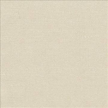 Unforgettable Champagne by Kasmir Fabric 1349 100% Polyester INDIA 25,000 Wyzenbeek Double Rubs H: N/A, V: N/A 54 - Fabric Carolina - Kasmir