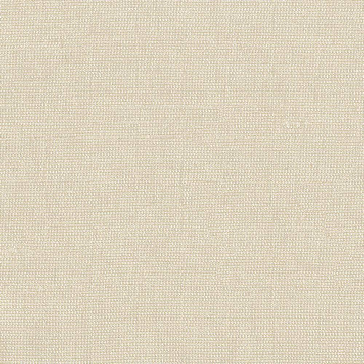Unforgettable Champagne by Kasmir Fabric 1351 INDIA 25,000 Wyzenbeek Double Rubs H: N/A, V:N/A 54 - Fabric Carolina - Kasmir