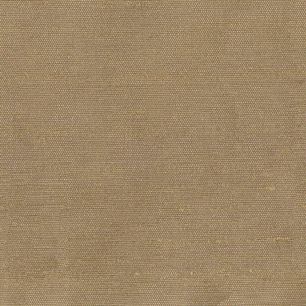 Unforgettable Chestnut by Kasmir Fabric 1349 100% Polyester
 INDIA 25,000 Wyzenbeek Double Rubs Horizontal: N/A and Vertical: N/A 54 - Fabric Carolina -