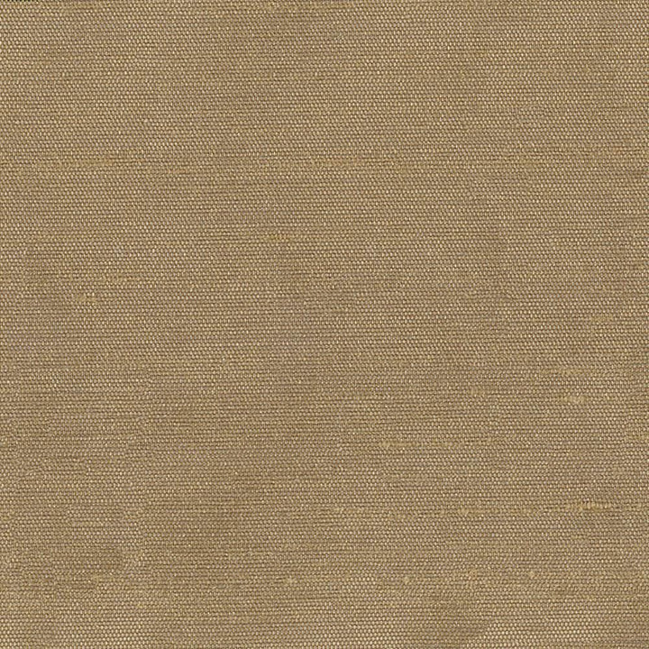 Unforgettable Chestnut by Kasmir Fabric 1349 100% Polyester
 INDIA 25,000 Wyzenbeek Double Rubs Horizontal: N/A and Vertical: N/A 54 - Fabric Carolina -