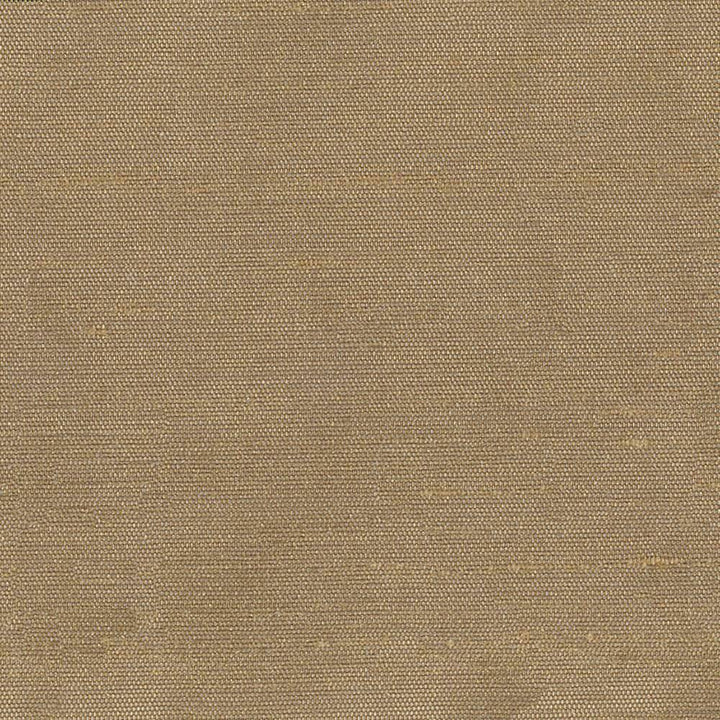 Unforgettable Chestnut by Kasmir Fabric 1349 INDIA 25,000 Wyzenbeek Double Rubs H: N/A, V:N/A 54 - Fabric Carolina - Kasmir