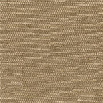 Unforgettable Chestnut by Kasmir Fabric 1350 100% Polyester INDIA 25,000 Wyzenbeek Double Rubs H: N/A, V: N/A 54 - Fabric Carolina - Kasmir