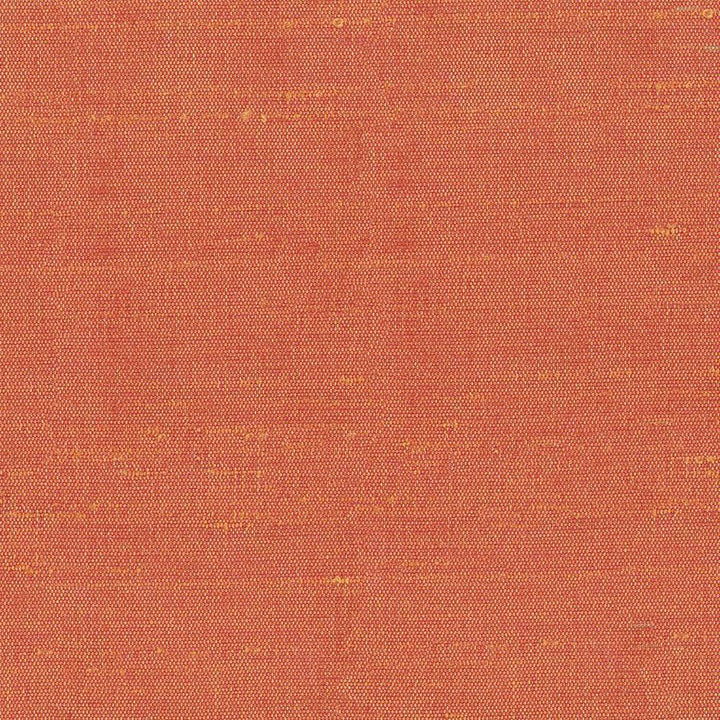 Unforgettable Clay by Kasmir Fabric 1347 INDIA 25,000 Wyzenbeek Double Rubs H: N/A, V:N/A 54 - Fabric Carolina - Kasmir