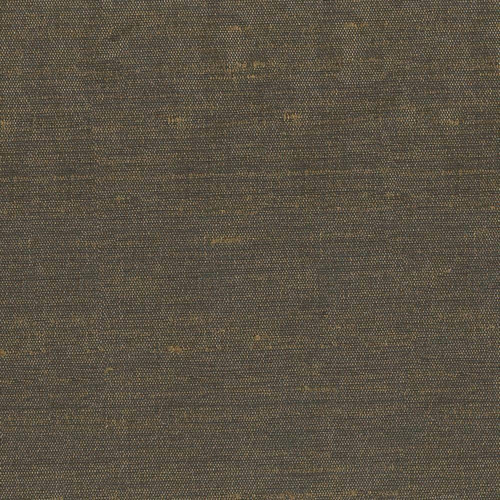 Unforgettable Coffee by Kasmir Fabric 5010 INDIA 25,000 Wyzenbeek Double Rubs H: N/A, V:N/A 54 - Fabric Carolina - Kasmir