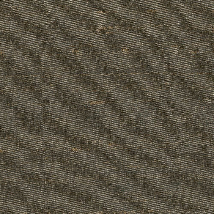 Unforgettable Coffee by Kasmir Fabric 1348 100% Polyester
 INDIA 25,000 Wyzenbeek Double Rubs Horizontal: N/A and Vertical: N/A 54 - Fabric Carolina -