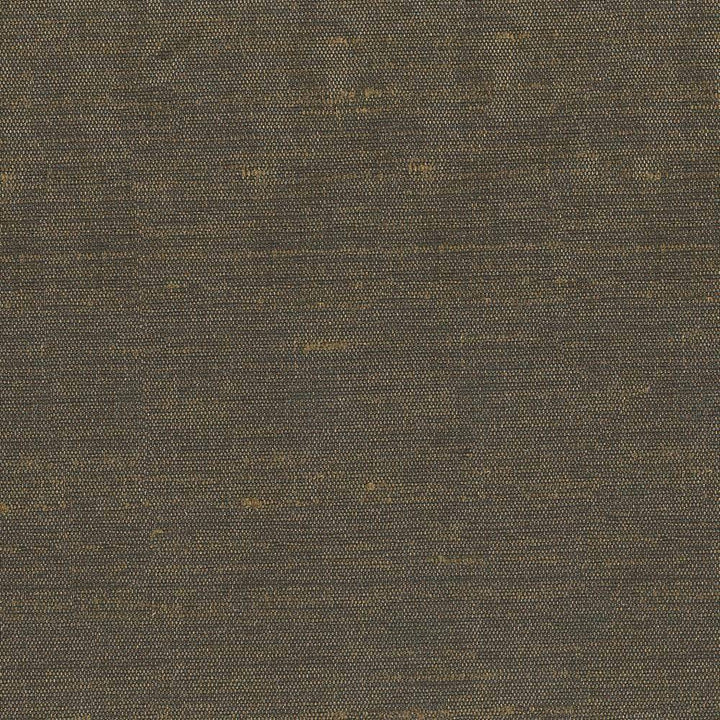 Unforgettable Coffee by Kasmir Fabric 1348 INDIA 25,000 Wyzenbeek Double Rubs H: N/A, V:N/A 54 - Fabric Carolina - Kasmir