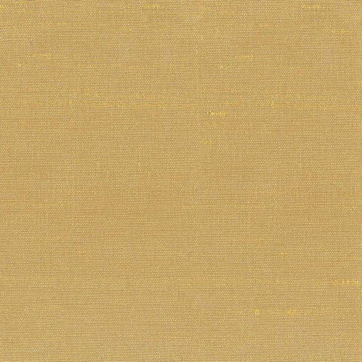 Unforgettable Corn by Kasmir Fabric 5010 INDIA 25,000 Wyzenbeek Double Rubs H: N/A, V:N/A 54 - Fabric Carolina - Kasmir