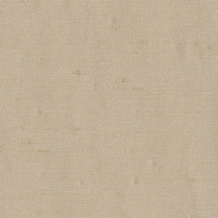 Unforgettable Dawn by Kasmir Fabric 5010 100% Polyester
 INDIA 25,000 Wyzenbeek Double Rubs </p><p>Repeat: Horizontal: N/A and Vertical: N/A 54 - Fabric Carolina -