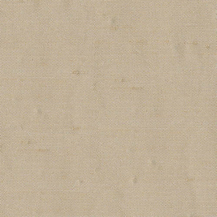 Unforgettable Dawn by Kasmir Fabric 5010 INDIA 25,000 Wyzenbeek Double Rubs H: N/A, V:N/A 54 - Fabric Carolina - Kasmir