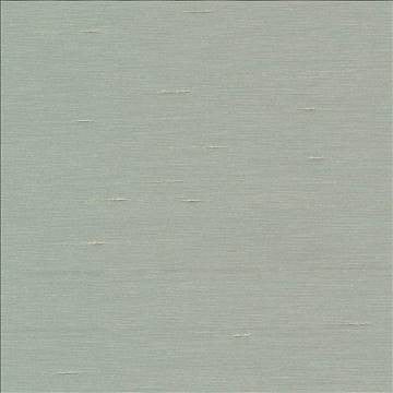 Unforgettable Haze by Kasmir Fabric 5010 100% Polyester INDIA 25,000 Wyzenbeek Double Rubs H: N/A, V: N/A 54 - Fabric Carolina - Kasmir