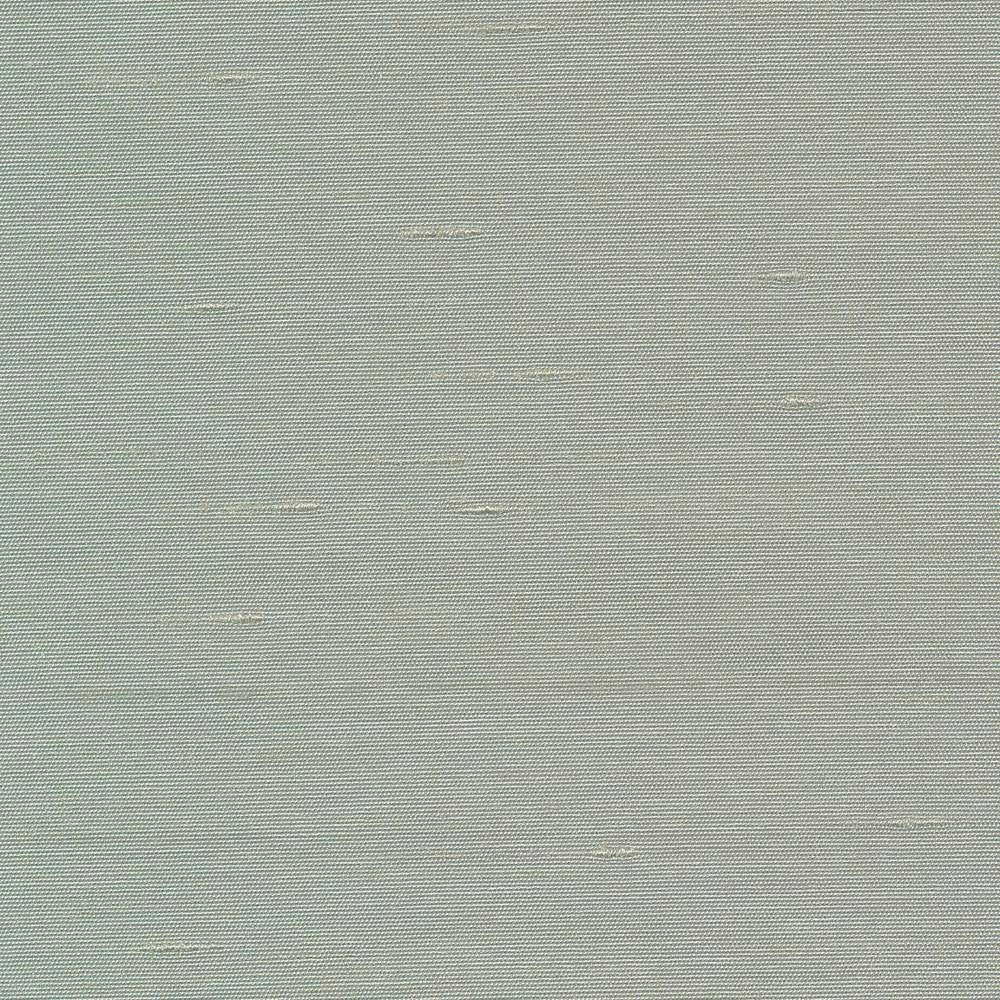 Unforgettable Haze by Kasmir Fabric 5010 INDIA 25,000 Wyzenbeek Double Rubs H: N/A, V:N/A 54 - Fabric Carolina - Kasmir
