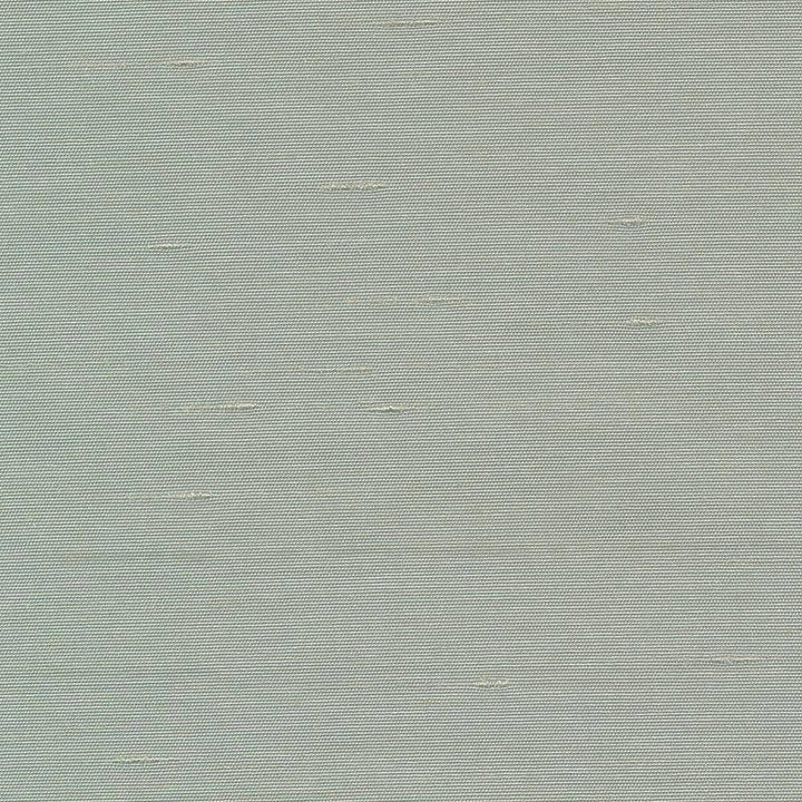 Unforgettable Haze by Kasmir Fabric 5010 INDIA 25,000 Wyzenbeek Double Rubs H: N/A, V:N/A 54 - Fabric Carolina - Kasmir