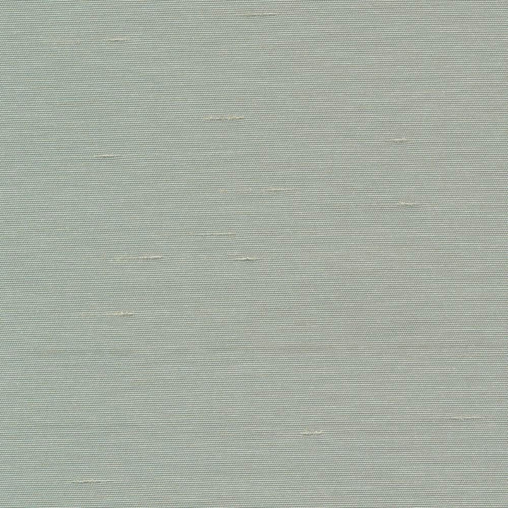 Unforgettable Haze by Kasmir Fabric 5010 100% Polyester INDIA 25,000 Wyzenbeek Double Rubs Horizontal: 0 Inches and Vertical: 0 Inches 54 - Fabric Carolina -