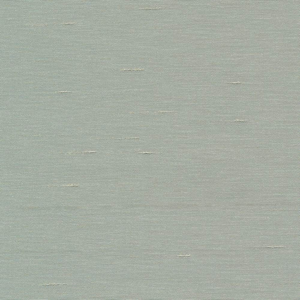 Unforgettable Haze by Kasmir Fabric 5010 100% Polyester
 INDIA 25,000 Wyzenbeek Double Rubs </p><p>Repeat: Horizontal: N/A and Vertical: N/A 54 - Fabric Carolina -