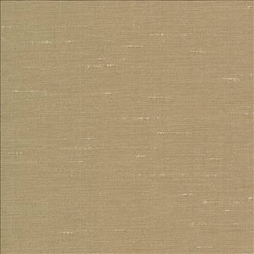 Unforgettable Hemp by Kasmir Fabric 5010 100% Polyester INDIA 25,000 Wyzenbeek Double Rubs H: N/A, V: N/A 54 - Fabric Carolina - Kasmir
