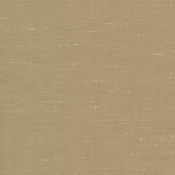 Unforgettable Hemp by Kasmir Fabric 5010 INDIA 25,000 Wyzenbeek Double Rubs H: N/A, V:N/A 54 - Fabric Carolina - Kasmir
