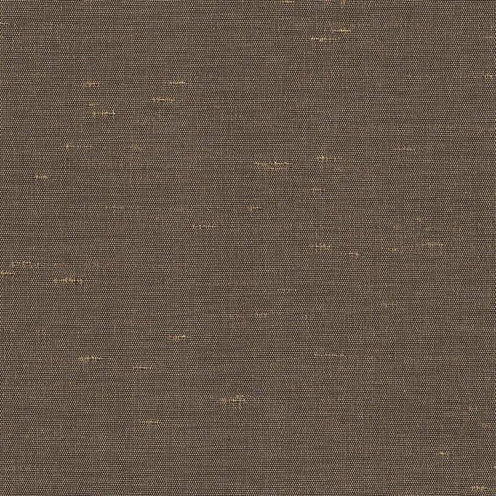 Unforgettable Hickory by Kasmir Fabric 5010 100% Polyester
 INDIA </p><p>Repeat: Horizontal: N/A and Vertical: N/A 54 - Fabric Carolina -