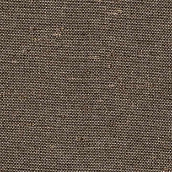 Unforgettable Hickory by Kasmir Fabric 5010 INDIA 25,000 Wyzenbeek Double Rubs H: N/A, V:N/A 54 - Fabric Carolina - Kasmir