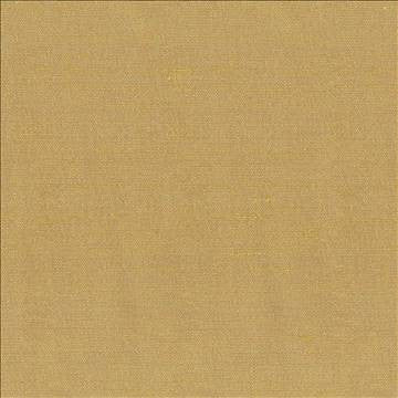 Unforgettable Honey by Kasmir Fabric 1348 100% Polyester INDIA 25,000 Wyzenbeek Double Rubs H: N/A, V: N/A 54 - Fabric Carolina - Kasmir