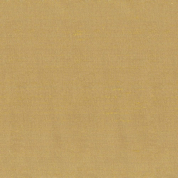 Unforgettable Honey by Kasmir Fabric 1350 100% Polyester
 INDIA 25,000 Wyzenbeek Double Rubs Horizontal: N/A and Vertical: N/A 54 - Fabric Carolina -