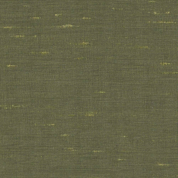 Unforgettable Jungle by Kasmir Fabric 5010 INDIA 25,000 Wyzenbeek Double Rubs H: N/A, V:N/A 54 - Fabric Carolina - Kasmir