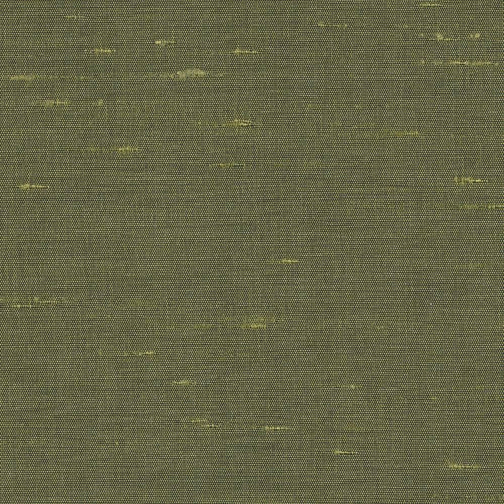 Unforgettable Jungle by Kasmir Fabric 5010 100% Polyester
 INDIA 25,000 Wyzenbeek Double Rubs </p><p>Repeat: Horizontal: N/A and Vertical: N/A 54 - Fabric Carolina -