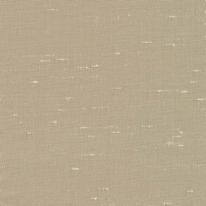 Unforgettable Khaki by Kasmir Fabric 5010 INDIA 25,000 Wyzenbeek Double Rubs H: N/A, V:N/A 54 - Fabric Carolina - Kasmir