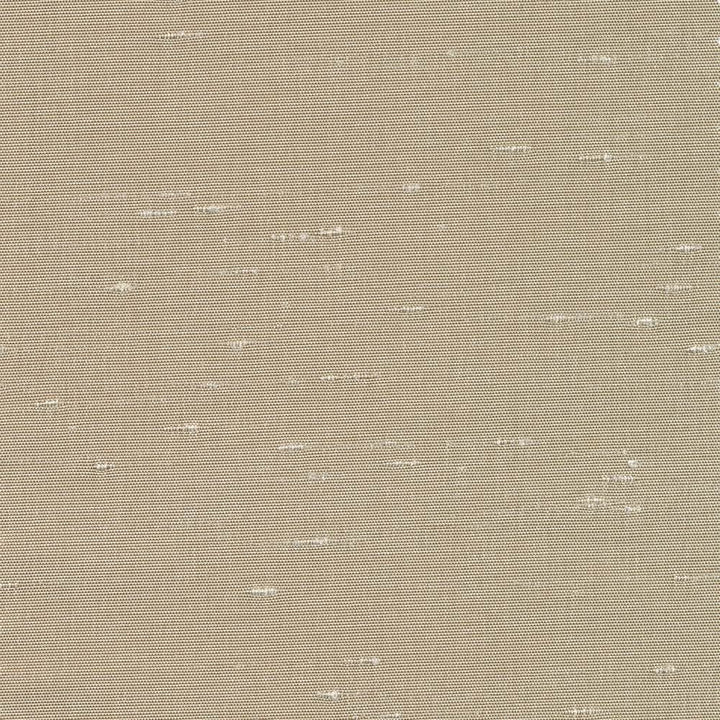 Unforgettable Khaki by Kasmir Fabric 5010 100% Polyester
 INDIA 25,000 Wyzenbeek Double Rubs Horizontal: N/A and Vertical: N/A 54 - Fabric Carolina -